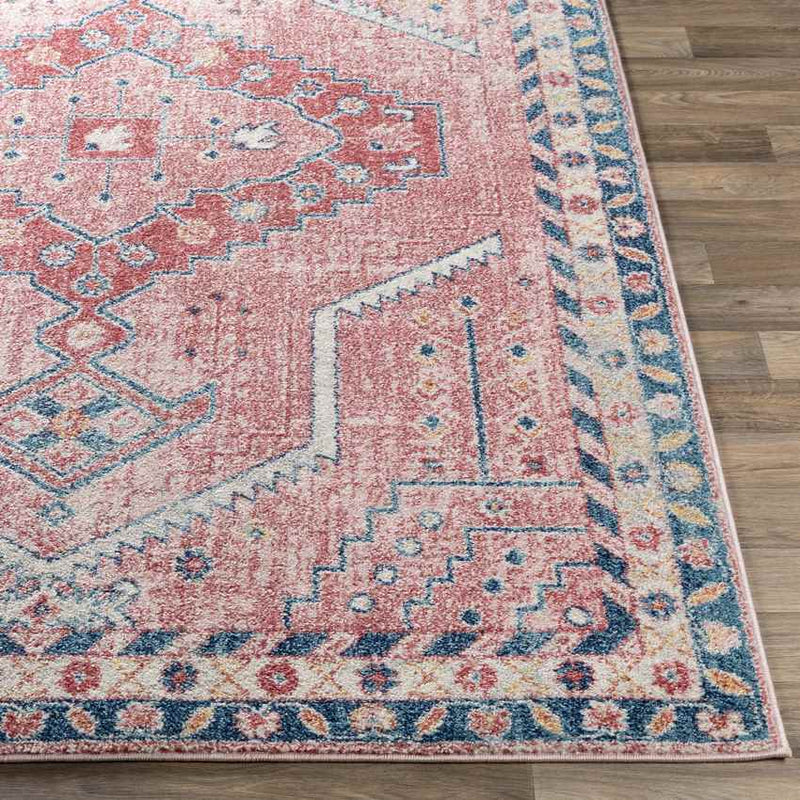 Taunton Traditional Blush Area Rug