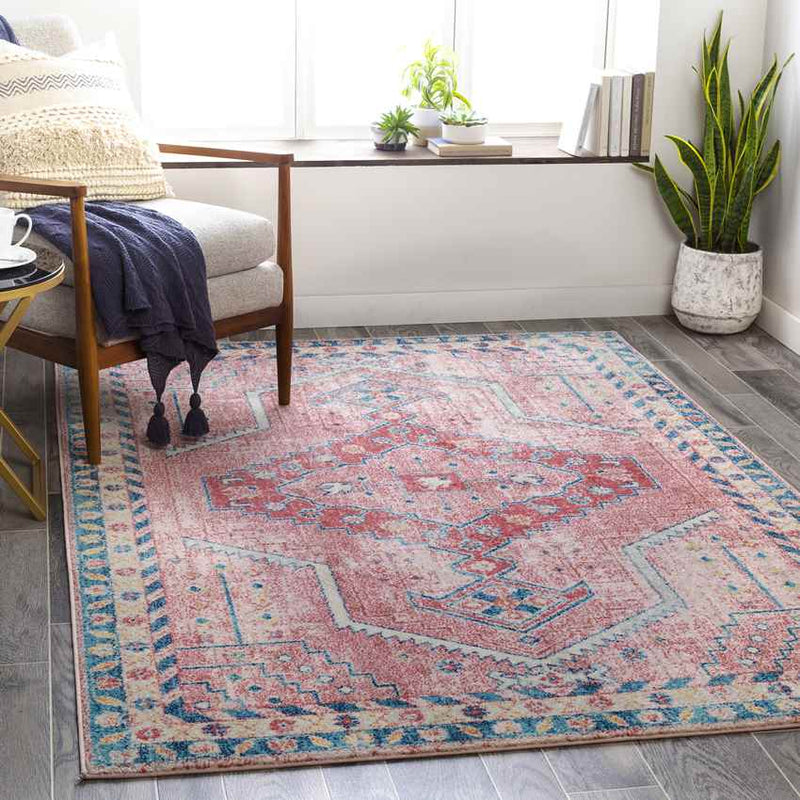 Taunton Traditional Blush Area Rug