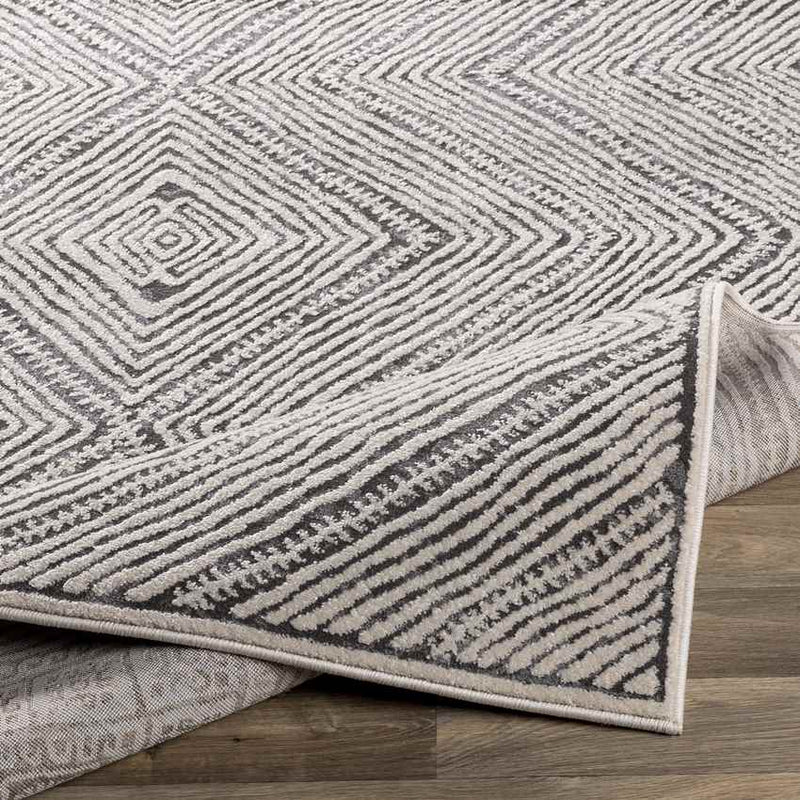 Magrath Global Light Gray Area Rug