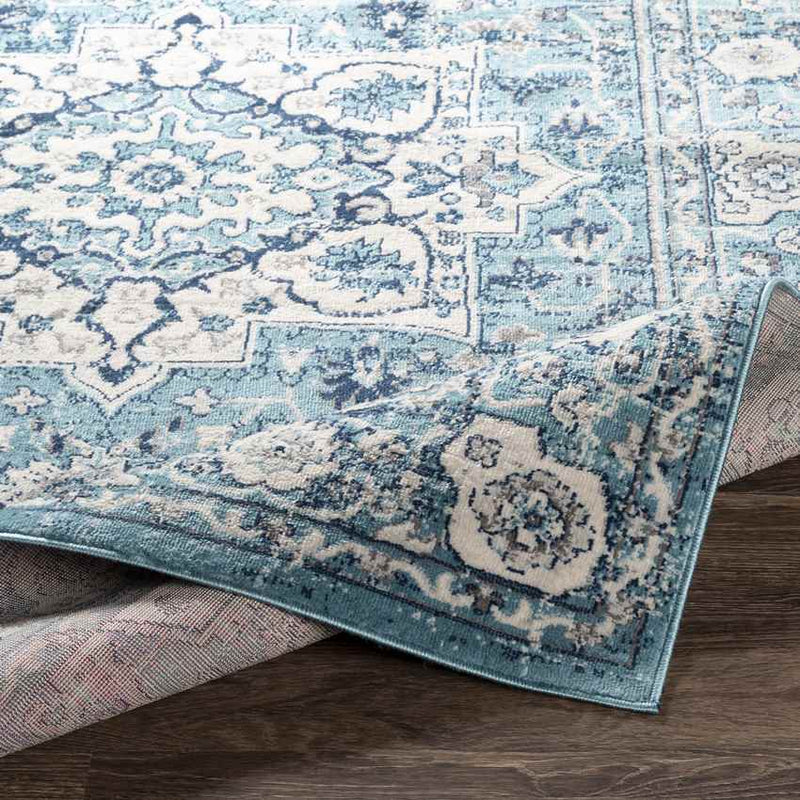 Anjum Traditional Denim Area Rug