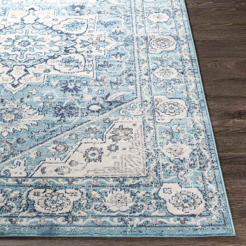 Anjum Traditional Denim Area Rug