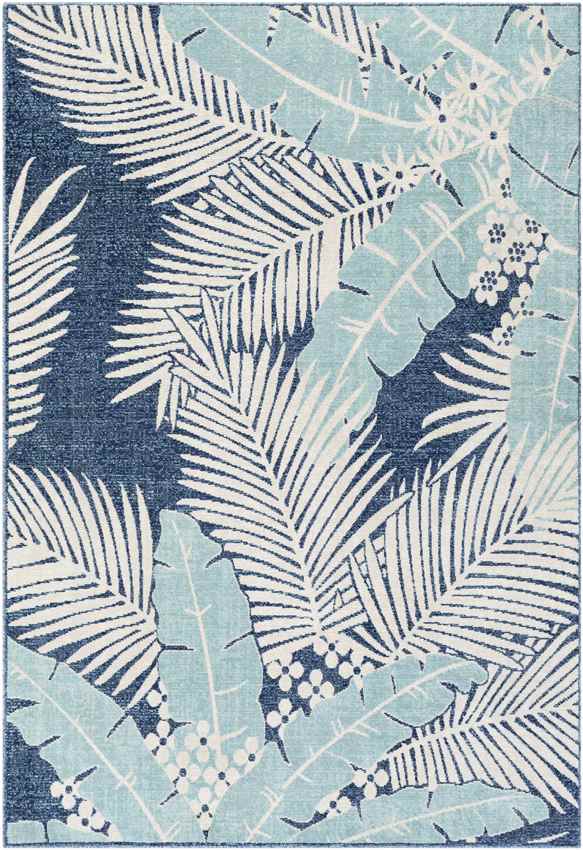 Birstum Coastal Aqua Area Rug