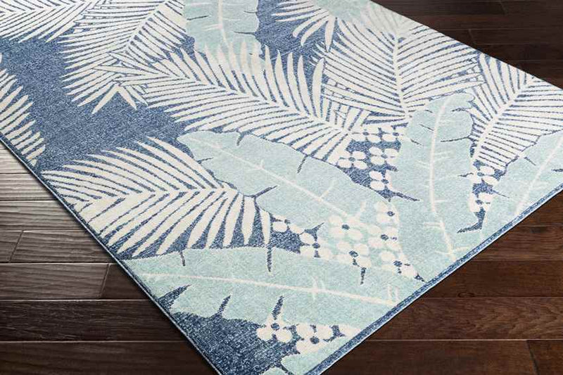 Birstum Coastal Aqua Area Rug