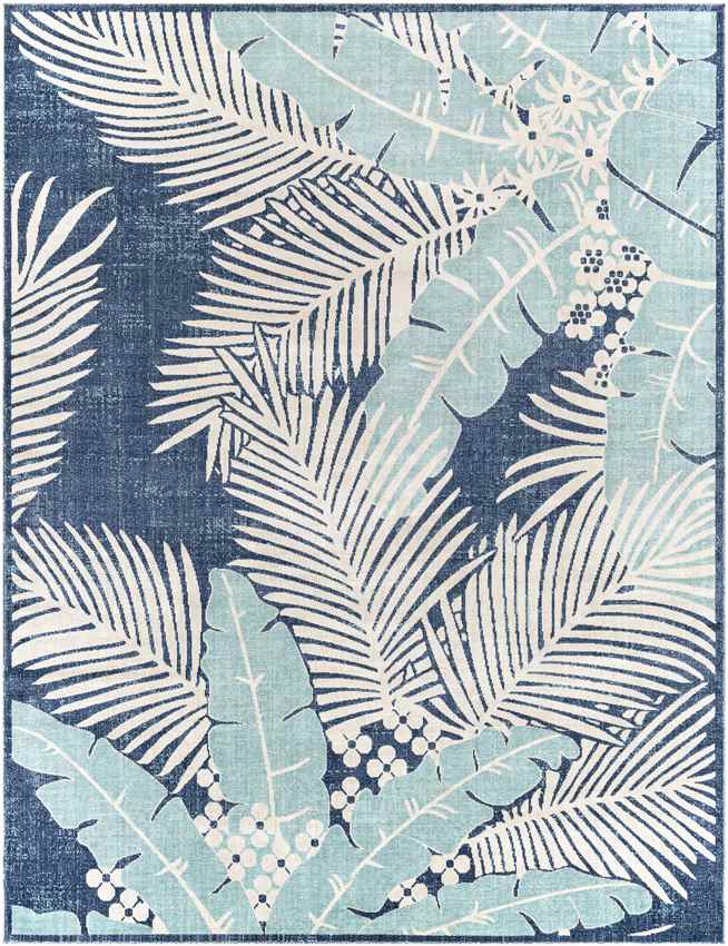 Birstum Coastal Aqua Area Rug