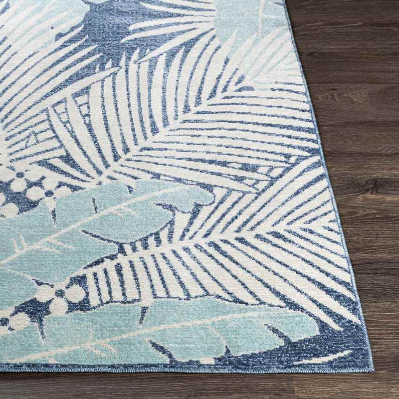 Birstum Coastal Aqua Area Rug