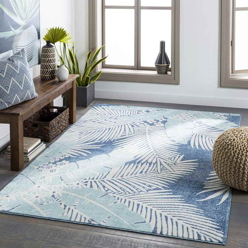 Birstum Coastal Aqua Area Rug