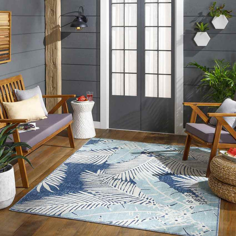 Birstum Coastal Aqua Area Rug