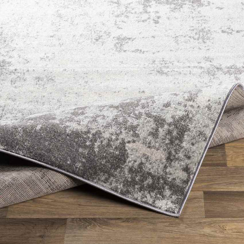 Bontebok Modern Medium Gray Area Rug