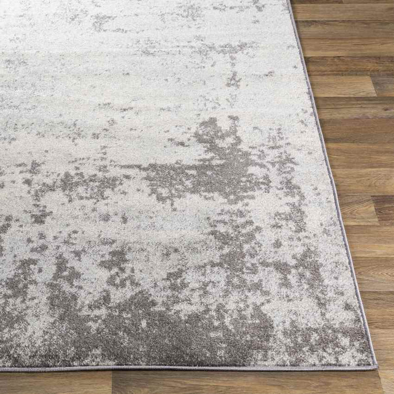 Bontebok Modern Medium Gray Area Rug