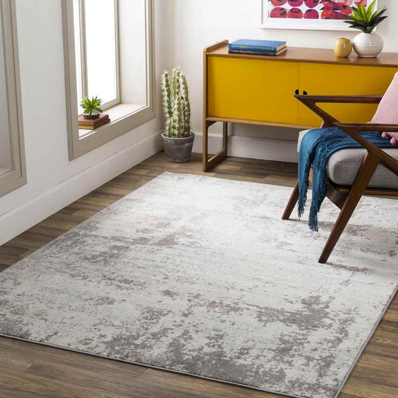 Bontebok Modern Medium Gray Area Rug