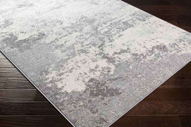 Bornwird Modern Medium Gray Area Rug