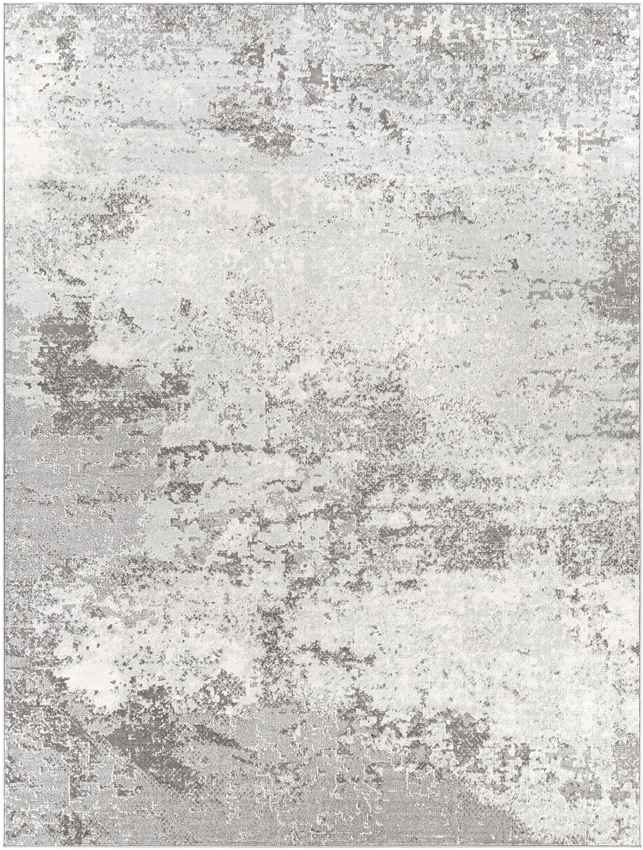 Bornwird Modern Medium Gray Area Rug