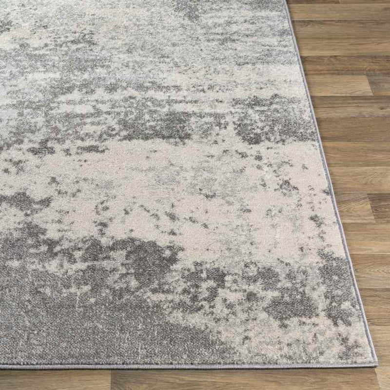 Bornwird Modern Medium Gray Area Rug