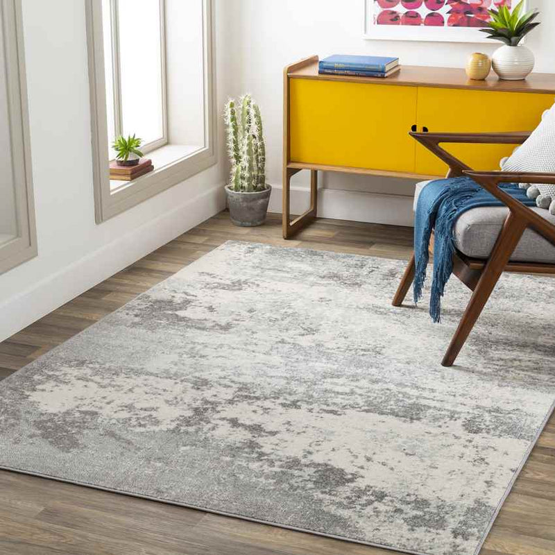 Bornwird Modern Medium Gray Area Rug