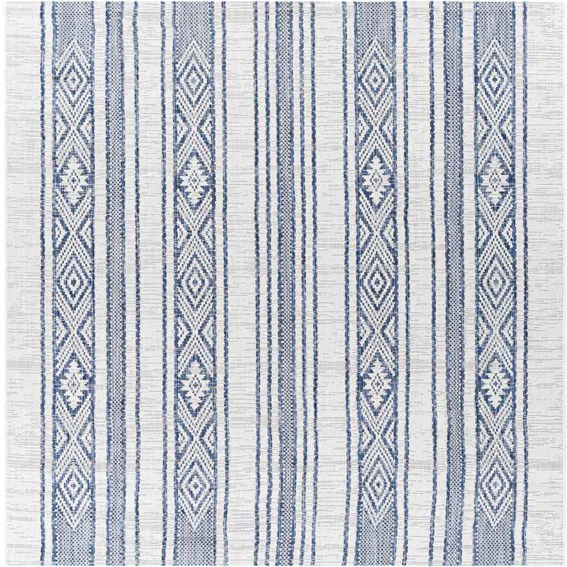 Aerdt Global Pale Blue Area Rug