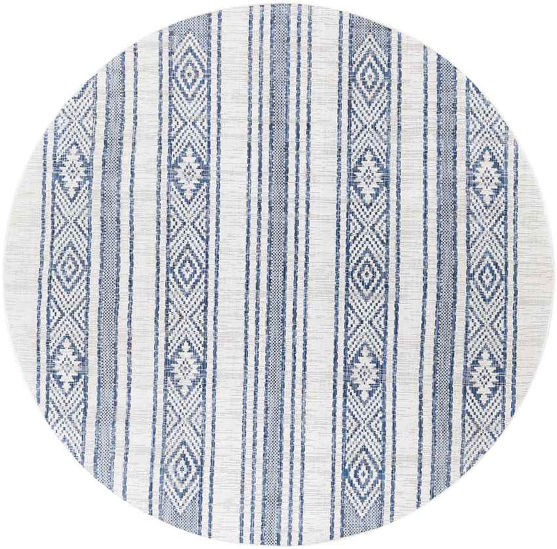 Aerdt Global Pale Blue Area Rug