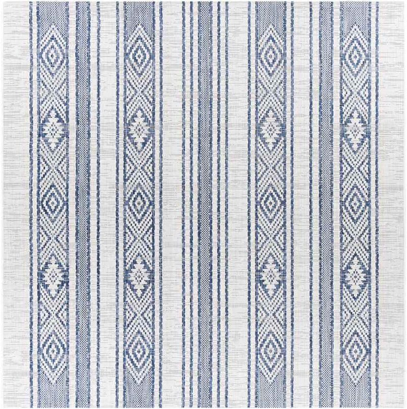 Aerdt Global Pale Blue Area Rug