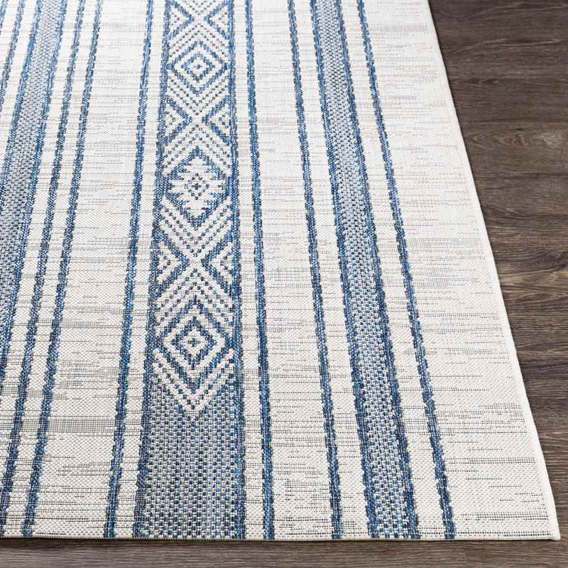 Aerdt Global Pale Blue Area Rug