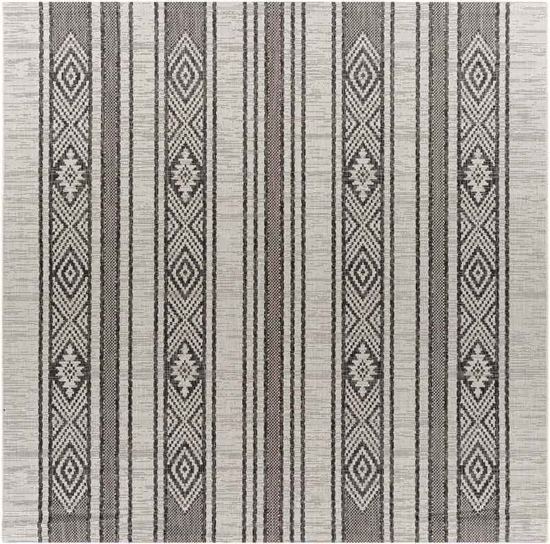 Aerdt Global Medium Gray Area Rug