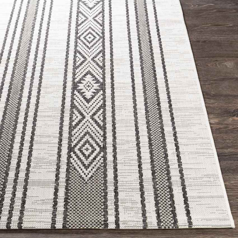 Aerdt Global Medium Gray Area Rug