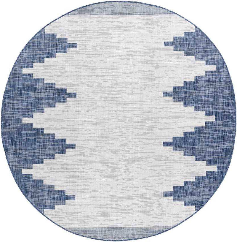 Wolfheze Global Navy Area Rug