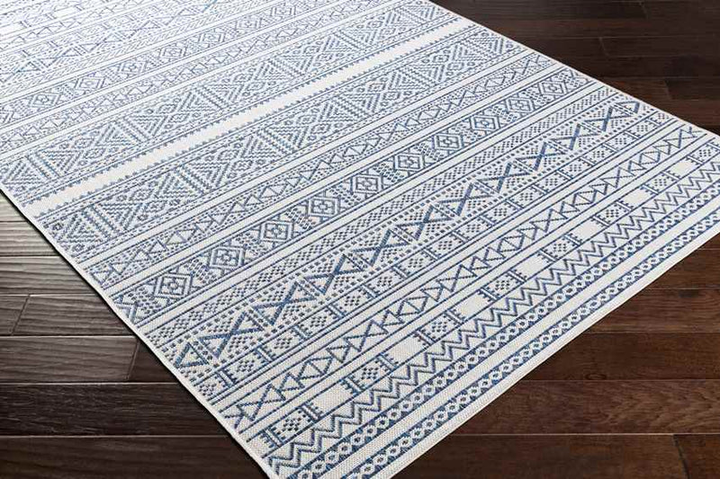 Zoelen Global Navy Area Rug