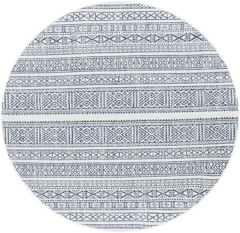 Zoelen Global Navy Area Rug