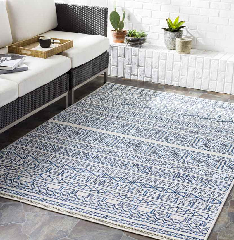 Zoelen Global Navy Area Rug