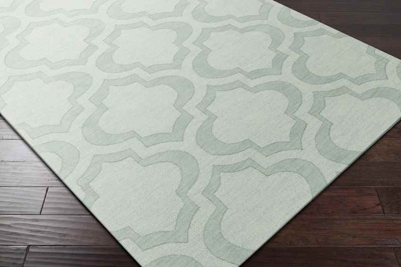 Bergerac Modern Mint Area Rug