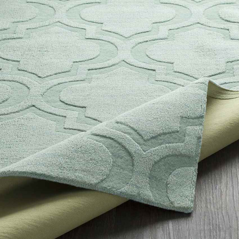 Bergerac Modern Mint Area Rug