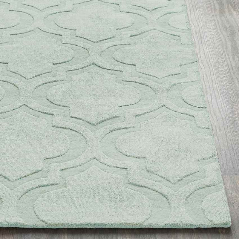 Bergerac Modern Mint Area Rug