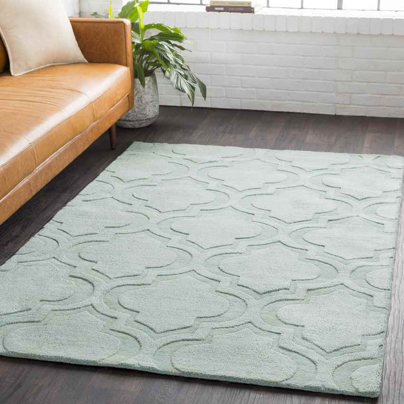 Bergerac Modern Mint Area Rug