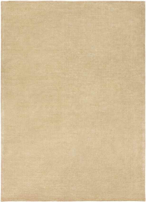 Rennes Modern Beige Area Rug