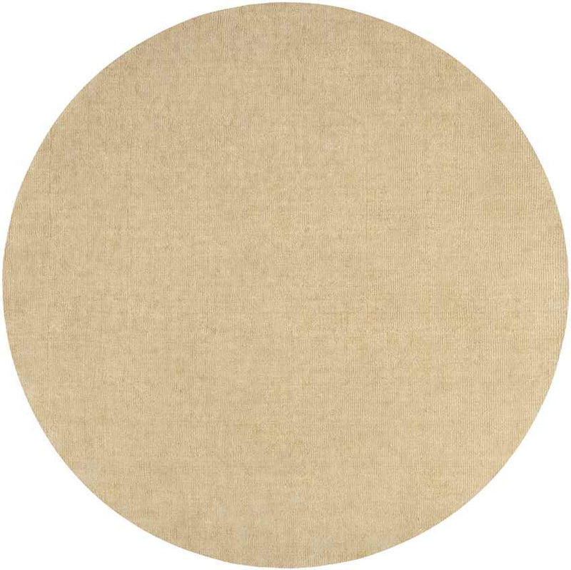 Rennes Modern Beige Area Rug