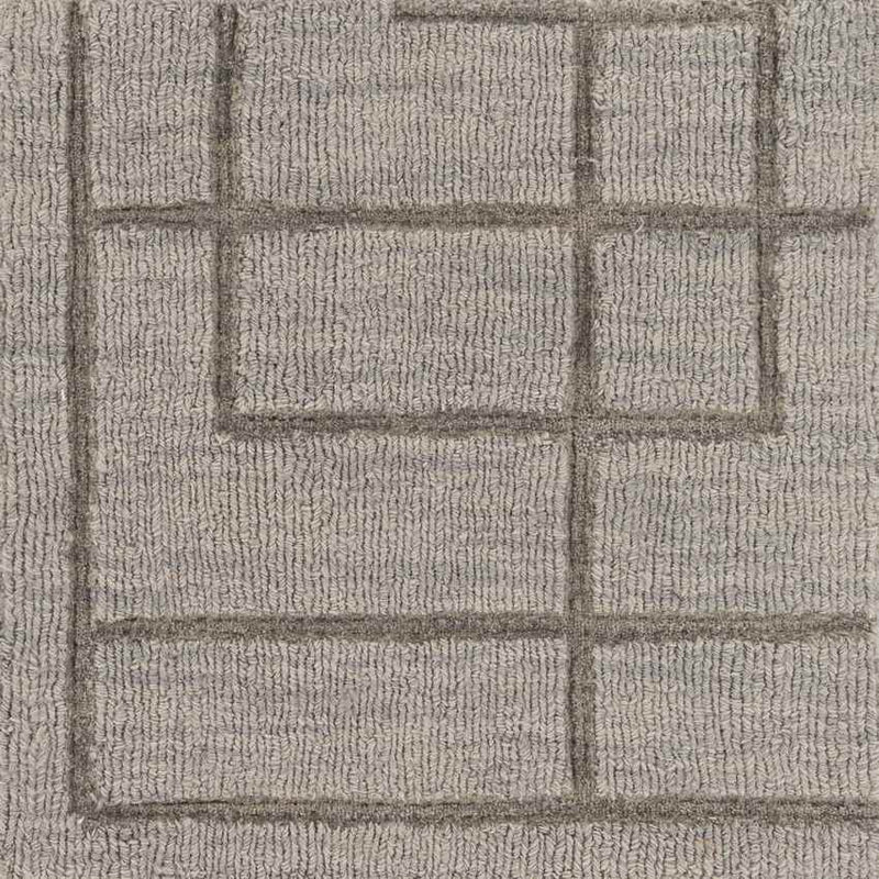 Onstwedde Modern Medium Gray Area Rug