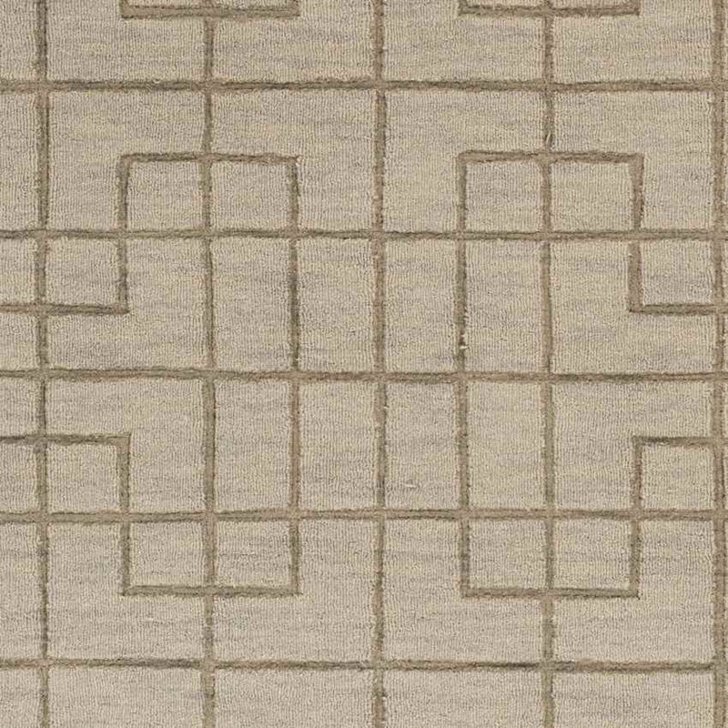 Onstwedde Modern Medium Gray Area Rug