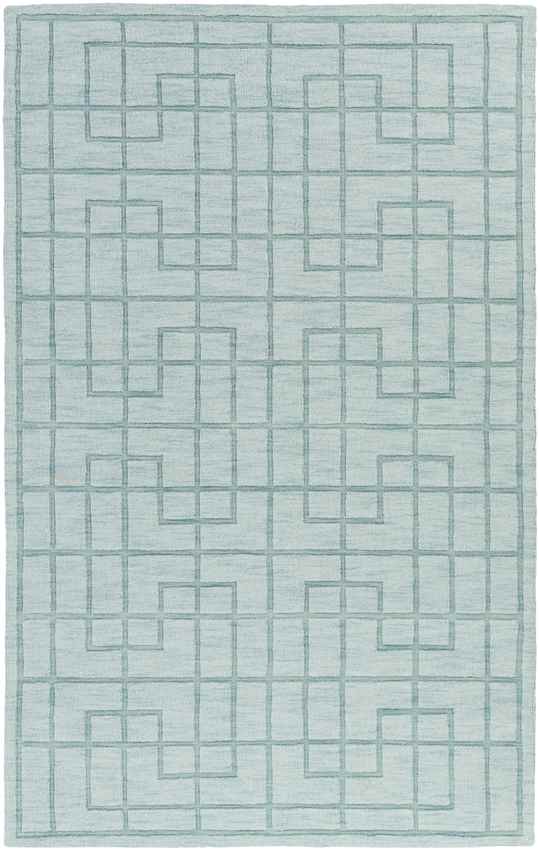 Onstwedde Modern Aqua Area Rug