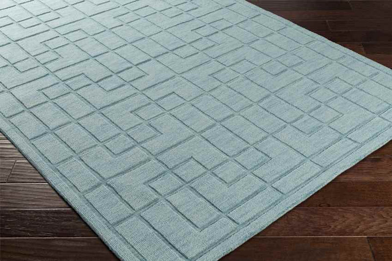 Onstwedde Modern Aqua Area Rug