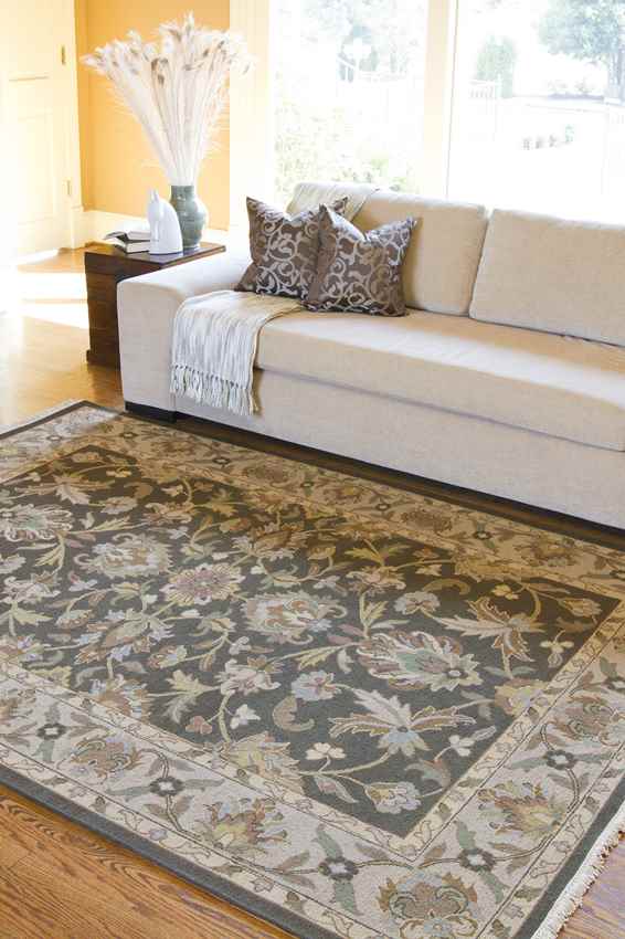 Niebert Traditional Tan Area Rug