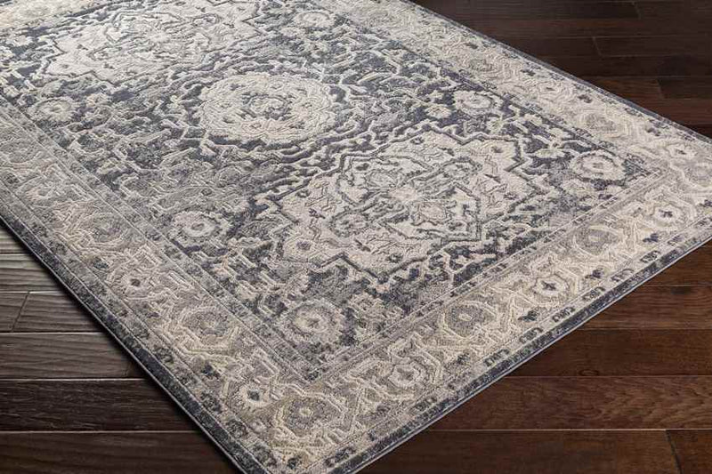 Spankeren Traditional Medium Gray Area Rug