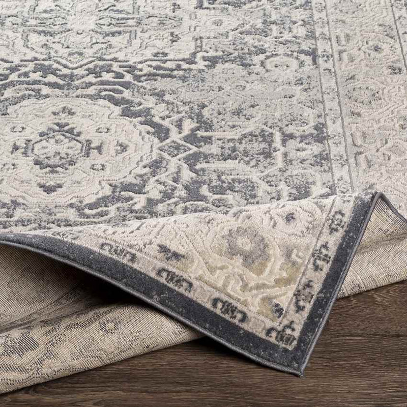 Spankeren Traditional Medium Gray Area Rug