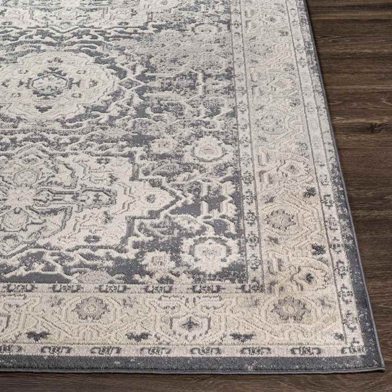 Spankeren Traditional Medium Gray Area Rug