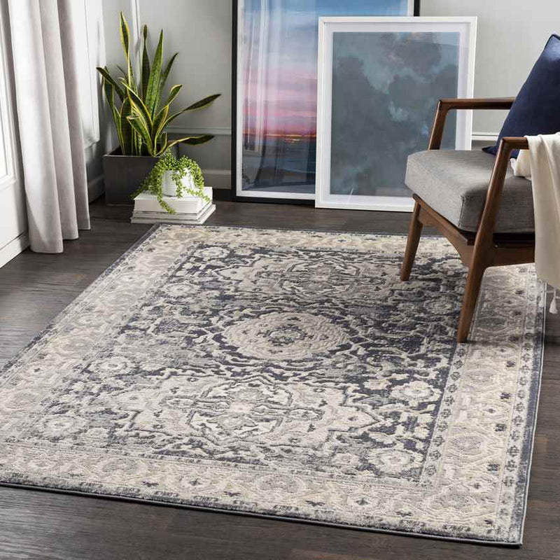 Spankeren Traditional Medium Gray Area Rug