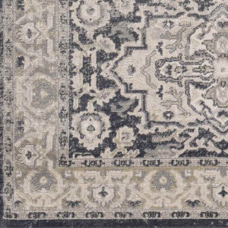 Spankeren Traditional Medium Gray Area Rug