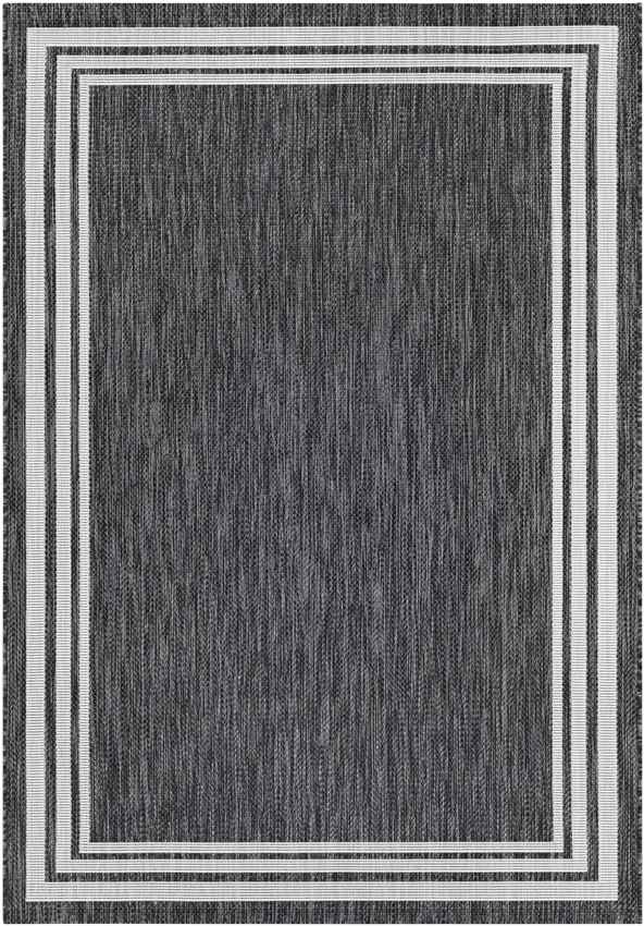 Wezep Traditional Dark Gray Area Rug