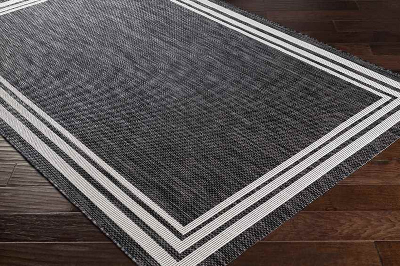 Wezep Traditional Dark Gray Area Rug