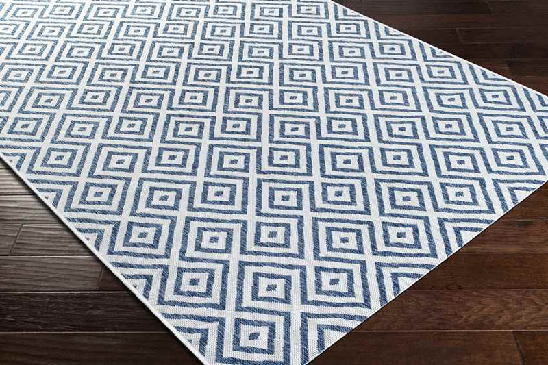 Aekinga Traditional Blue Area Rug