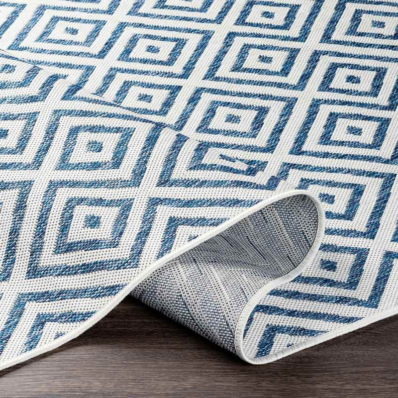 Aekinga Traditional Blue Area Rug