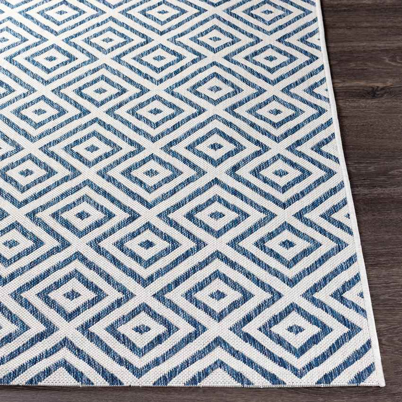 Aekinga Traditional Blue Area Rug