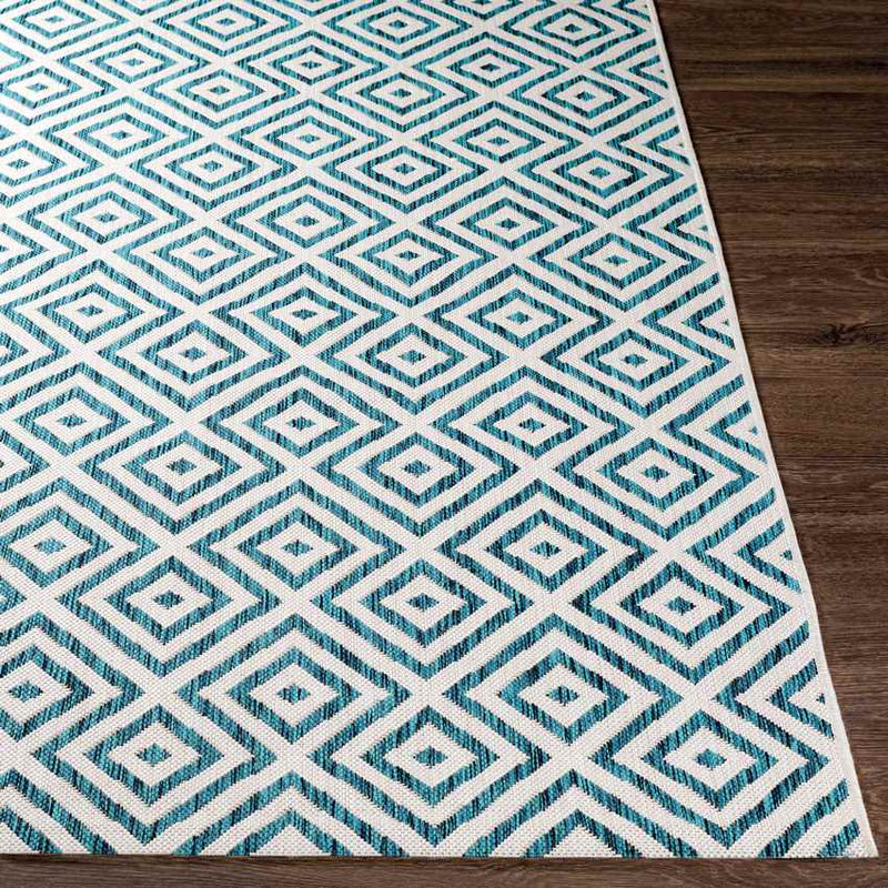 Aekinga Traditional White Area Rug